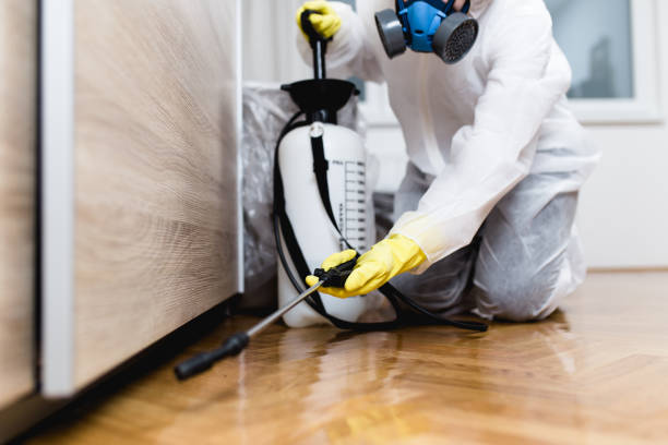 Best Best Pest Control Companies  in Forest View, IL