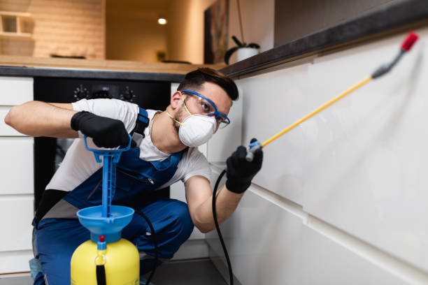 Best Pest Inspection Near Me  in Forest View, IL