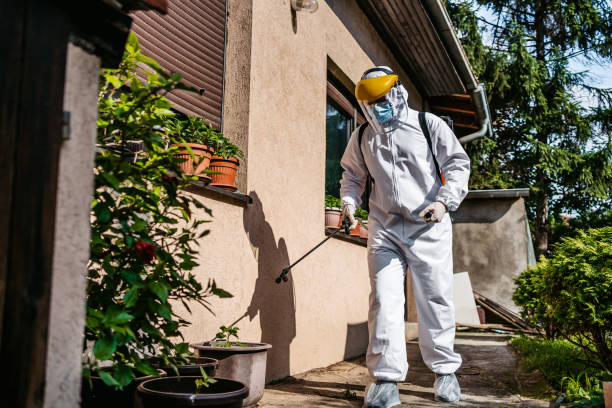Wasp Removal Services in Forest View, IL