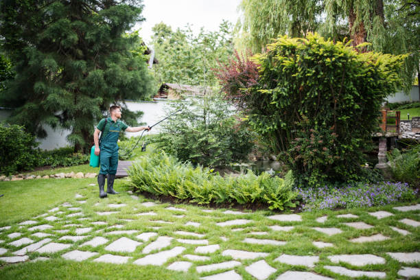 Best Residential Pest Control  in Forest View, IL