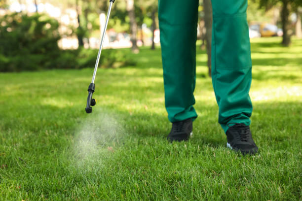 Best Best Pest Control Companies  in Forest View, IL