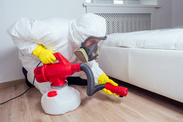 Best Wasp Removal Services  in Forest View, IL