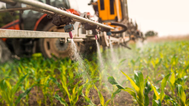 Reliable Forest View, IL Pest Control Solutions