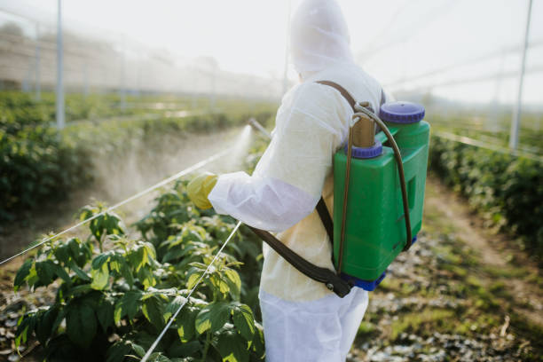 Best Pest Control Near Me  in Forest View, IL